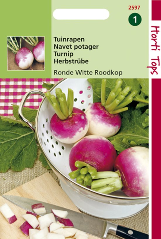 Knolraap Ronde Witte Roodkop (Brassica rapa) 4500 zaden HT